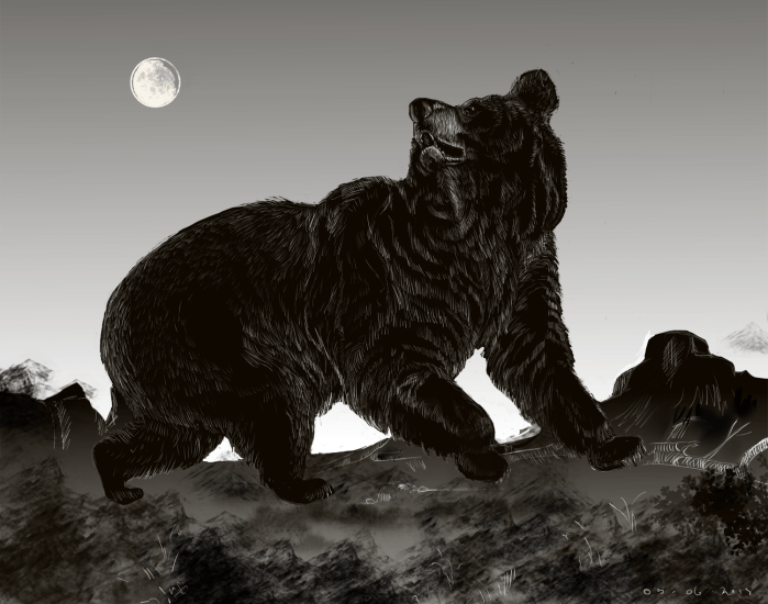 Drawing of a bear